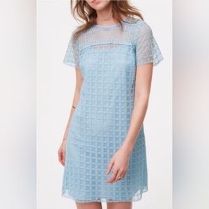 LOFT Light Blue Lace Dress Size 8